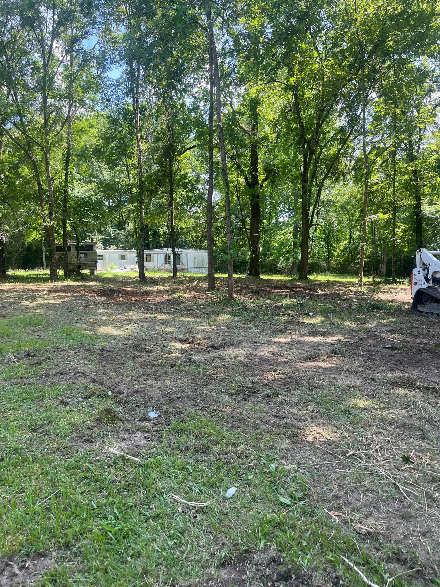 Land clearing project